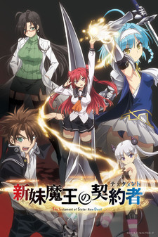 Póster de The Testament of Sister New Devil: Tojo Basara's Hard, Sweet Daily Life