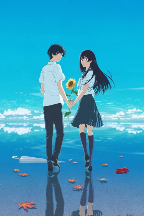 Póster de The Tunnel to Summer, the Exit of Goodbyes