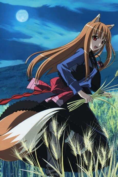 Poster für Spice and Wolf II: Wolf and the Amber Melancholy