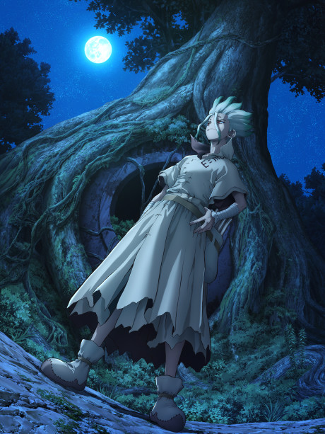 Dr.STONE NEW WORLDのポスター