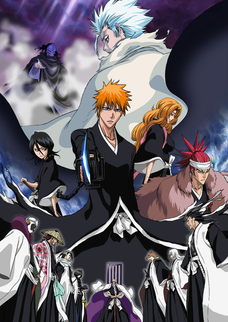 BLEACH The DiamondDust Rebellion もう一つの氷輪丸のポスター