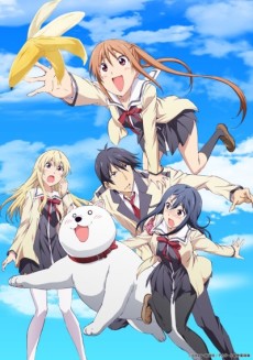 笨女孩的海报