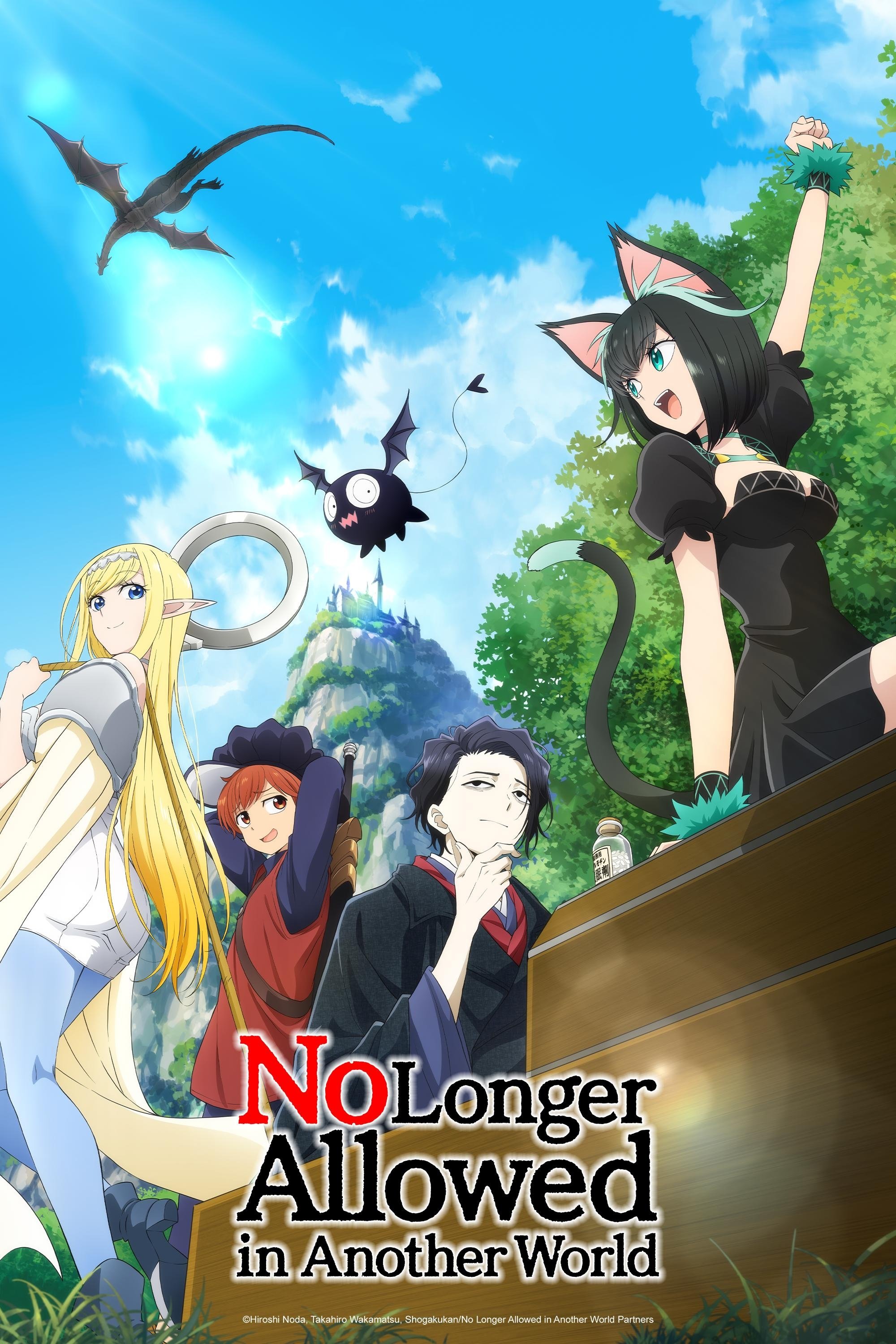 Affiche de No Longer Allowed in Another World