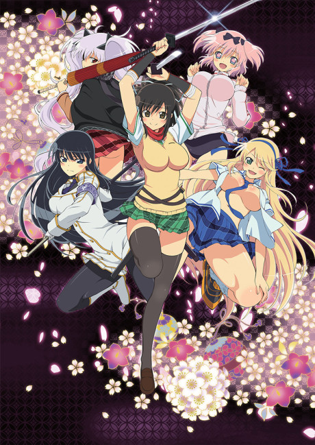 Poster for Senran Kagura: Ninja Flash!