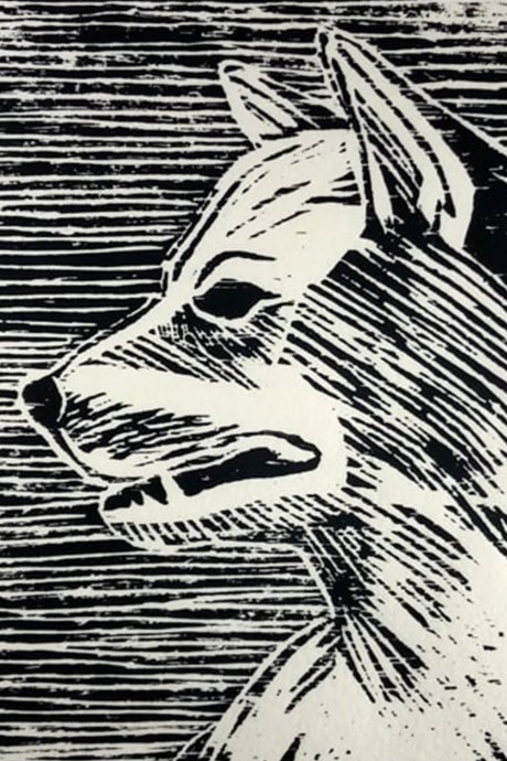Pôster de A DOG