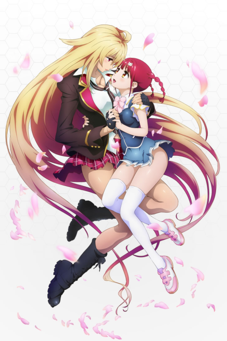 Poster for Valkyrie Drive: Mermaid
