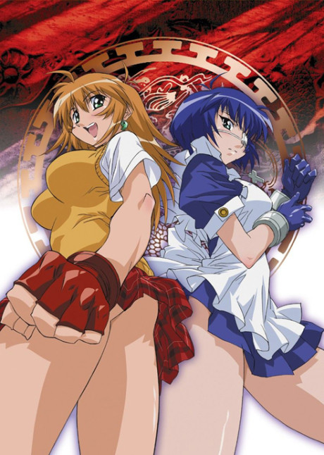 Póster de Ikkitousen