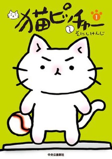Póster de Neko Pitcher