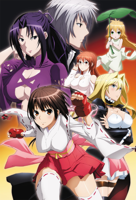 Poster for Sekirei: Pure Engagement
