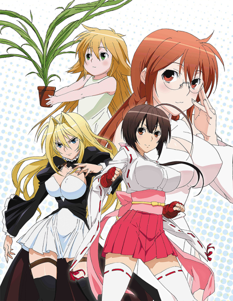 セキレイのポスター