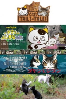Poster for Dayan to Tama to Tobi Neko to: 3-tsu no Neko no Monogatari