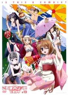 Poster for Is this a Zombie? OVA