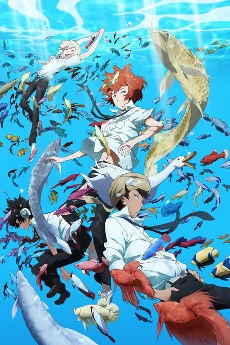钓球的海报